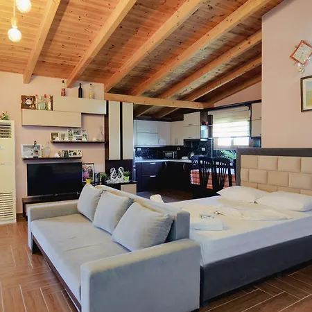 מלון Shpetimi קסאמיל